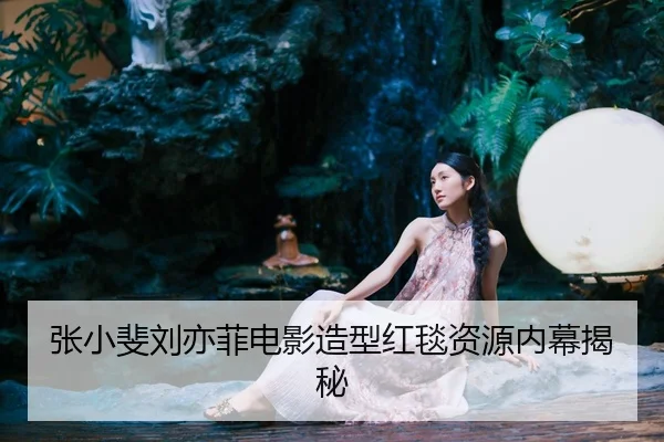 张小斐刘亦菲电影造型红毯资源内幕揭秘